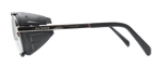 Shiny Chrome