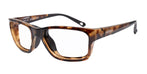 Shiny Tortoise | Prescription Type, Review