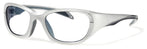 Shiny Silver/Blue