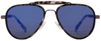 Matte Gunmetal Black | Lens Type, Lens Color